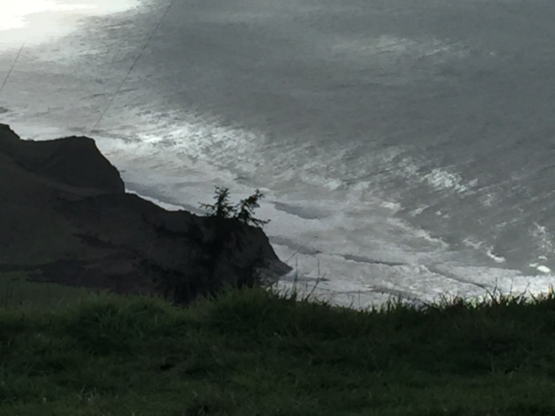 3817BA05-F137-470B-9176-CBF2CDB00E64